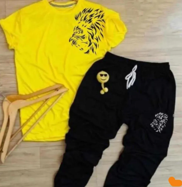 2 Pcs Men's Polyester Printed Track Suit